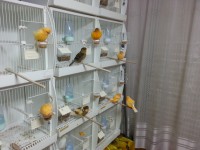 /album/%cf%84%ce%b1-%cf%80%ce%bf%cf%85%ce%bb%ce%ac%ce%ba%ce%b9%ce%b1-%ce%bc%ce%b1%cf%82/a20130915-163412-jpg/