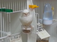 /album/%cf%84%ce%b1-%cf%80%ce%bf%cf%85%ce%bb%ce%ac%ce%ba%ce%b9%ce%b1-%ce%bc%ce%b1%cf%82/a20130919-195845-jpg/