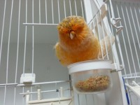 /album/%cf%84%ce%b1-%cf%80%ce%bf%cf%85%ce%bb%ce%ac%ce%ba%ce%b9%ce%b1-%ce%bc%ce%b1%cf%82/a20130922-184614-jpg/