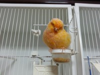 /album/%cf%84%ce%b1-%cf%80%ce%bf%cf%85%ce%bb%ce%ac%ce%ba%ce%b9%ce%b1-%ce%bc%ce%b1%cf%82/a20130922-184625-jpg/