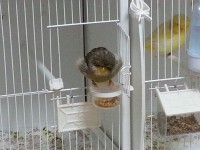 /album/%cf%84%ce%b1-%cf%80%ce%bf%cf%85%ce%bb%ce%ac%ce%ba%ce%b9%ce%b1-%ce%bc%ce%b1%cf%82/a20130922-185041-jpg/