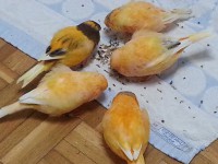 /album/%cf%84%ce%b1-%cf%80%ce%bf%cf%85%ce%bb%ce%ac%ce%ba%ce%b9%ce%b1-%ce%bc%ce%b1%cf%82/a20131006-181323-jpg/