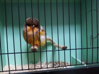 /album/%cf%84%ce%b1-%cf%80%ce%bf%cf%85%ce%bb%ce%ac%ce%ba%ce%b9%ce%b1-%ce%bc%ce%b1%cf%82/a20131006-184651-jpg/