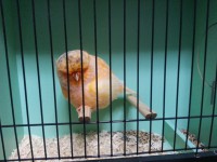 /album/%cf%84%ce%b1-%cf%80%ce%bf%cf%85%ce%bb%ce%ac%ce%ba%ce%b9%ce%b1-%ce%bc%ce%b1%cf%82/a20131006-185648-jpg/