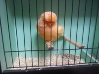 /album/%cf%84%ce%b1-%cf%80%ce%bf%cf%85%ce%bb%ce%ac%ce%ba%ce%b9%ce%b1-%ce%bc%ce%b1%cf%82/a20131006-190458-0-jpg/