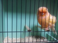 /album/%cf%84%ce%b1-%cf%80%ce%bf%cf%85%ce%bb%ce%ac%ce%ba%ce%b9%ce%b1-%ce%bc%ce%b1%cf%82/a20131006-190521-jpg/