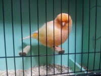 /album/%cf%84%ce%b1-%cf%80%ce%bf%cf%85%ce%bb%ce%ac%ce%ba%ce%b9%ce%b1-%ce%bc%ce%b1%cf%82/a20131006-190807-jpg/