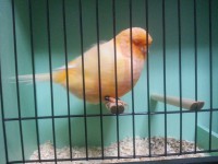 /album/%cf%84%ce%b1-%cf%80%ce%bf%cf%85%ce%bb%ce%ac%ce%ba%ce%b9%ce%b1-%ce%bc%ce%b1%cf%82/a20131006-190831-jpg/