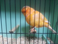 /album/%cf%84%ce%b1-%cf%80%ce%bf%cf%85%ce%bb%ce%ac%ce%ba%ce%b9%ce%b1-%ce%bc%ce%b1%cf%82/a20131006-191150-jpg/