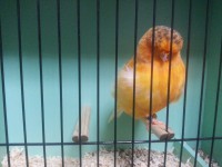 /album/%cf%84%ce%b1-%cf%80%ce%bf%cf%85%ce%bb%ce%ac%ce%ba%ce%b9%ce%b1-%ce%bc%ce%b1%cf%82/a20131006-191205-jpg/