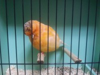 /album/%cf%84%ce%b1-%cf%80%ce%bf%cf%85%ce%bb%ce%ac%ce%ba%ce%b9%ce%b1-%ce%bc%ce%b1%cf%82/a20131006-191214-jpg/