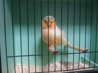 /album/%cf%84%ce%b1-%cf%80%ce%bf%cf%85%ce%bb%ce%ac%ce%ba%ce%b9%ce%b1-%ce%bc%ce%b1%cf%82/a20131006-191345-jpg/