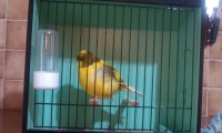 /album/%cf%84%ce%b1-%cf%80%ce%bf%cf%85%ce%bb%ce%ac%ce%ba%ce%b9%ce%b1-%ce%bc%ce%b1%cf%82/imag0092-jpg/