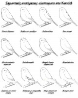 /album/norwich/aneparkeiesnorwich-jpg/