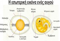 /album/norwich/iesoterikiikonaenosavgoy-1-jpg/