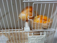 /album/norwich-2014/a20140506-195438-jpg/