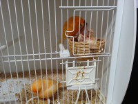 /album/norwich-2014/a20140514-203240-jpg/