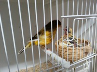 /album/norwich-2014/a20140516-195816-jpg/