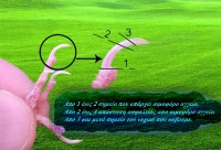 /album/norwich/%ce%bd%cf%85%cf%87%ce%b9%ce%b1-jpg/